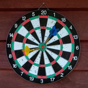 Darron Sports Professional Dartboard